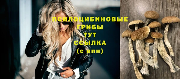 ешки Балахна