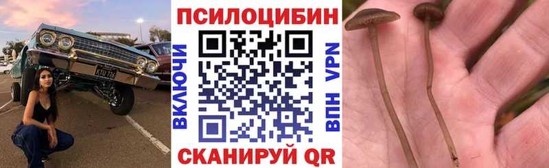 Псилоцибиновые грибы прущие грибы  цена наркотик  Заволжск 